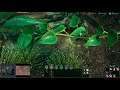 Crowded: Build Tactically!!! ~~ Let's Play Empires Of The Undergrowth! Extra Levels!