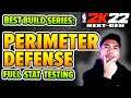 Do you really need PERIMETER DEFENSE on NBA 2K22 Next-Gen?? (BEST BUILD SERIES)
