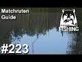 Matchruten Guide am Karpfenparadies 🎣🐋 | Russian Fishing 4 #223 | Deutsch | UwF