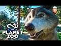 O Início do Zoológico! | Planet Zoo #01 | Gameplay pt br