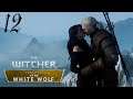 The Witcher: Farewell of the White Wolf [#12] - Тень над Данкелдом