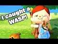 Animal Crossing New Horizons - How To Avoid Stings And Catch Wasps!