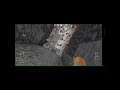 Minecraft Amazing Command block hack#shorts
