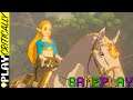 The Legend of Zelda: Breath of the Wild Master Mode Gameplay 11