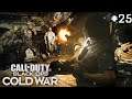 Black Ops Cold War (Zombies) - Mauer Der Toten Is Totally Crazy