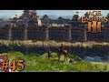 Die Belagerung Osakas - Japan | Age of Empires 3 #45 | Let's Play (German)