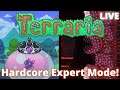 The Road to Hardmode Begins! Terraria Expert Mode Hardcore Playthrough! (LIVE)
