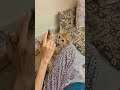 This is how my cat say Hello to a phone call Meow 😻 how can I help you 😂