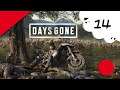 🔴🎮 Days Gone - ps4 - 14
