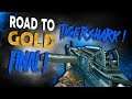 FINALMENTE O GOLD VEIO! - Road To Gold: Tigershark #05 - Black Ops 4