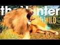 The Hunter Call Of The Wild | HIS FIRST LION!! (TREESTANDS & TRIPODS NEWS)