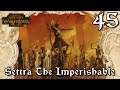 Total War: Warhammer 2 - Settra - ''Siege of Bhagar''' [45]