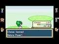 Touhoumon Unnamed LP [2]: I Was Almost Unprepared For Brock...