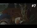 ASSASSIN'S CREED VALHALLA WRATH OF THE DRUIDS Walkthrough gameplay part 7 - DEIRDRE