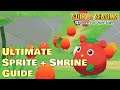Everything You Need to Know About Sprites and Shrine in Story of Seasons Pioneers of Olive Town!