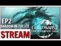 Guild Wars 2: Shadow In The Ice Review Playthrough | Icebrood Saga EP2