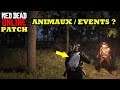 Le PATCH du jour a t-il corrigé le Bug des Animaux/Events ? | Red Dead Online