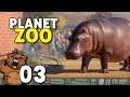 O animal mais perigoso pros humanos!? | Planet Zoo #03 - Gameplay PT-BR
