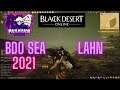 Black Desert Online Lahn 2021 PVE at Naga | Returning Player
