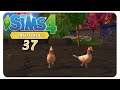 Die Hühnchen gehen ab! #37 Die Sims 4: Inselleben - Gameplay Let's Play