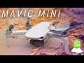 DJI Mavic Mini review: The perfect starter drone