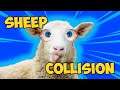 Sheep Collision | A SHEEP FIGHTING INDIE GAME WITH FRIENDS!