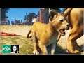 🦁 Looking at management and baby animals | Planet Zoo Live at GamesCom | ft. Silvarret & Rudi