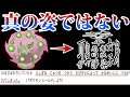 【シンオウ神話】一般ポケモンなのに濃い設定が!?人々の命から生まれるミカルゲについて深堀ろう!【ポケモン剣盾】【ダイパ】