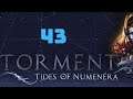 Zagrajmy w Torment: Tides of Numenera - odc. 43