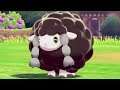 Beating Pokemon Sword and Shield Using Only Shiny Wooloo - Day One