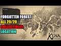 Forgotten Forest All Collectibles Location Kena Bridge of Spirits