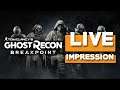 Ghost Recon Breakpoint, Beta Impressions