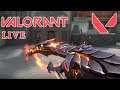 Valorant Low Range & High Range Practice with Elderflame Vandal Newly Buy