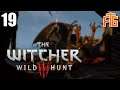 Eine letzte Erzählung ✘ The Witcher 3: Wild Hunt #19 | FestumGamers