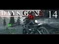 (Horde Plays A Trick On Me lol good 1 guys..) Days Gone Let's Play (Pt.#14) with BABz On PC 4K60FPS