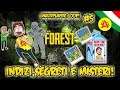 Indizi,Segreti e Misteri! - The Forest Coop Gameplay ITA #5