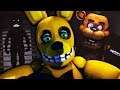 LET THE FNAF CHALLENGE BEGIN... || FNAF Challenge Night Part 1