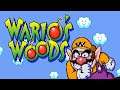 Round Game - Wario's Woods (SNES)