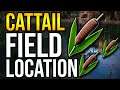 Last Oasis How To Farm Cattails QUICKLY