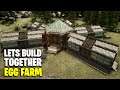 LIVE BUILD | Egg Farm