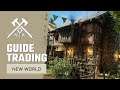 New World Trading Post & Auction House Beginners Guide 2021 | New Player Tutorial & Tips | MMORPG