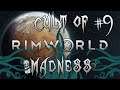 Rimworld: Visitors!
