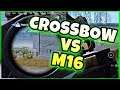 Crossbow vs M16! Long Range!! | PUBG Mobile