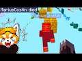 L-AM TROLLAT PE COSTIN pe OBBY MINECRAFT! *S-a Enervat*