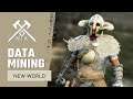 New World Data Mining & Leaks | New Armor, Weapons, Store Items, Abilities & Unreleased Desert Zone