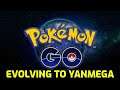 Pokémon GO - Evolving to Yanmega