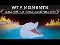 WTF Moments in History - The Dolphin That Nearly Destroyed a Roman Town
