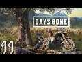 Getting a History Lesson - Days Gone