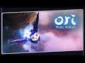 ORI AND THE WILL OF THE WISPS - O Início de Gameplay, em Português PT-BR | Xbox One X
