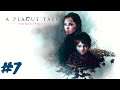 A Plague Tale: Innocence   Gameplay PC  GamePlay  VII.The path before US